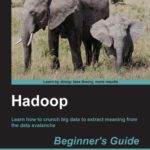 Hadoop Books for Beginners