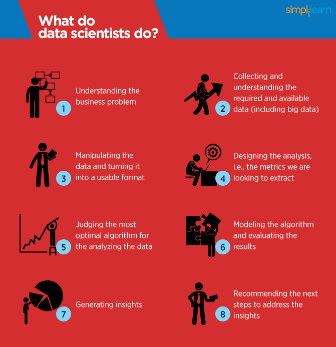 what data scientists do