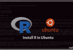 install R in ubuntu
