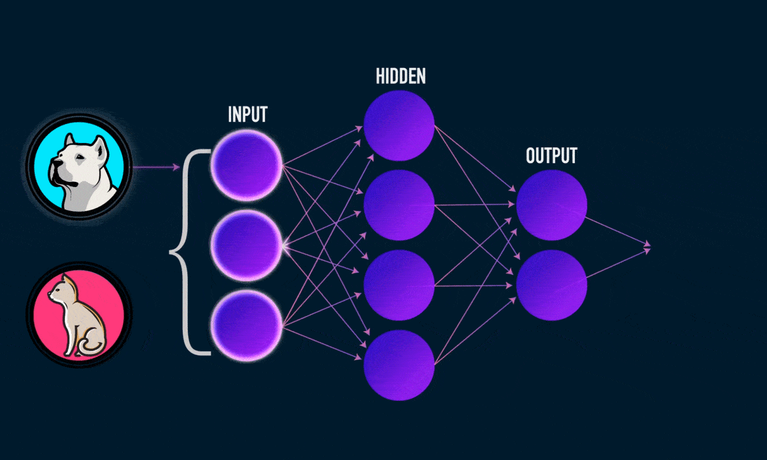Artificial Neural Networks Basic Guide [Beginners Guide for AI]